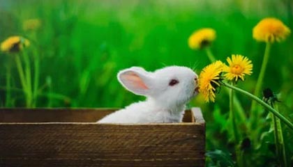 开云体育app-阿森纳轻取马赛，范佩西制霸全场：英伦锋芒再现欧洲赛场的辉煌